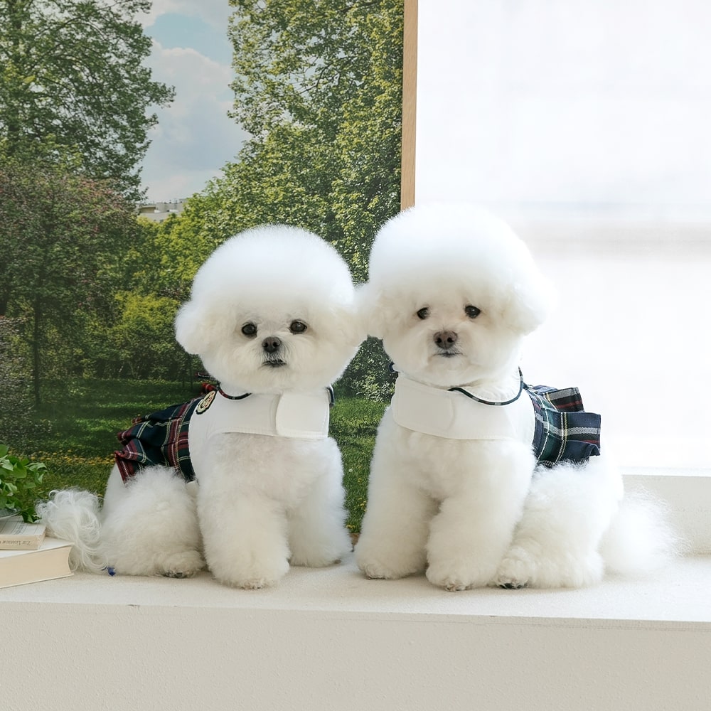 펫츠랜드 강아지 하네스옷 소형견 하네스 엘리트