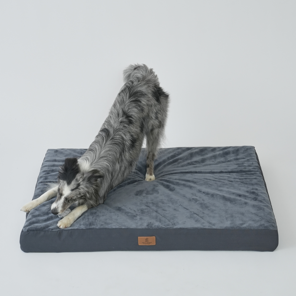 대형견 방석 사각방석 강아지 쿠션 소파 침대 매트 XL 펫앤마마