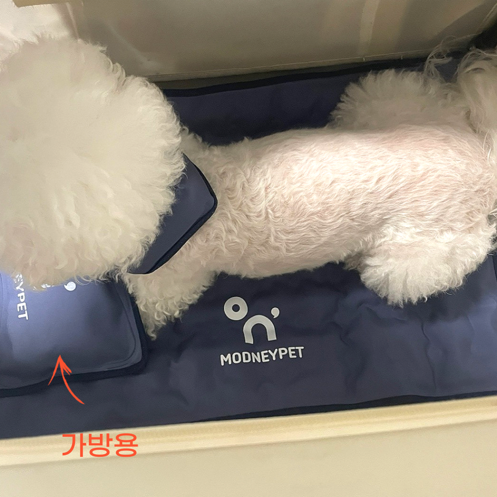 강아지쿨매트 가방용 아이스팩 애견 냉감 모드니펫 이미지 7