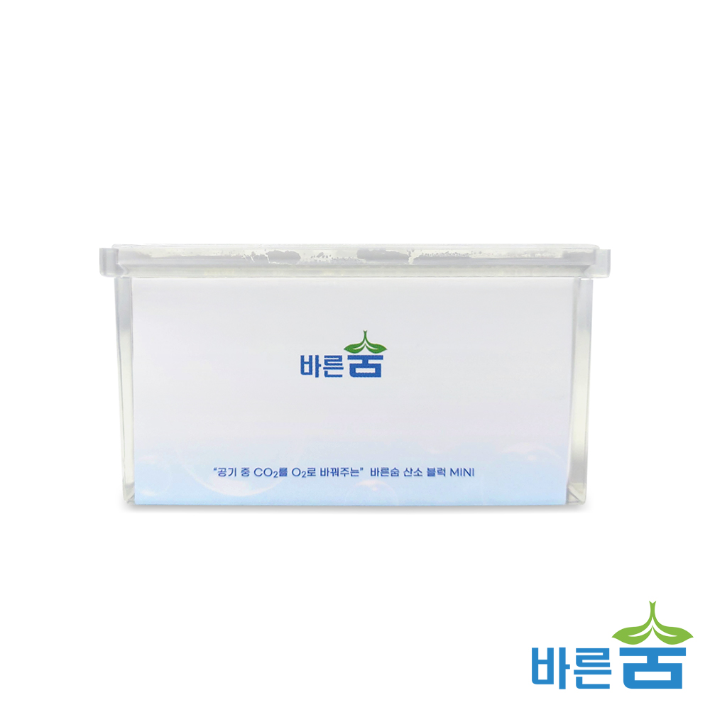 바른숨 산소블럭 미니 휴대용 차량용 산소발생기 독서실 회의실 산소발생장치 공기 정화 청정기