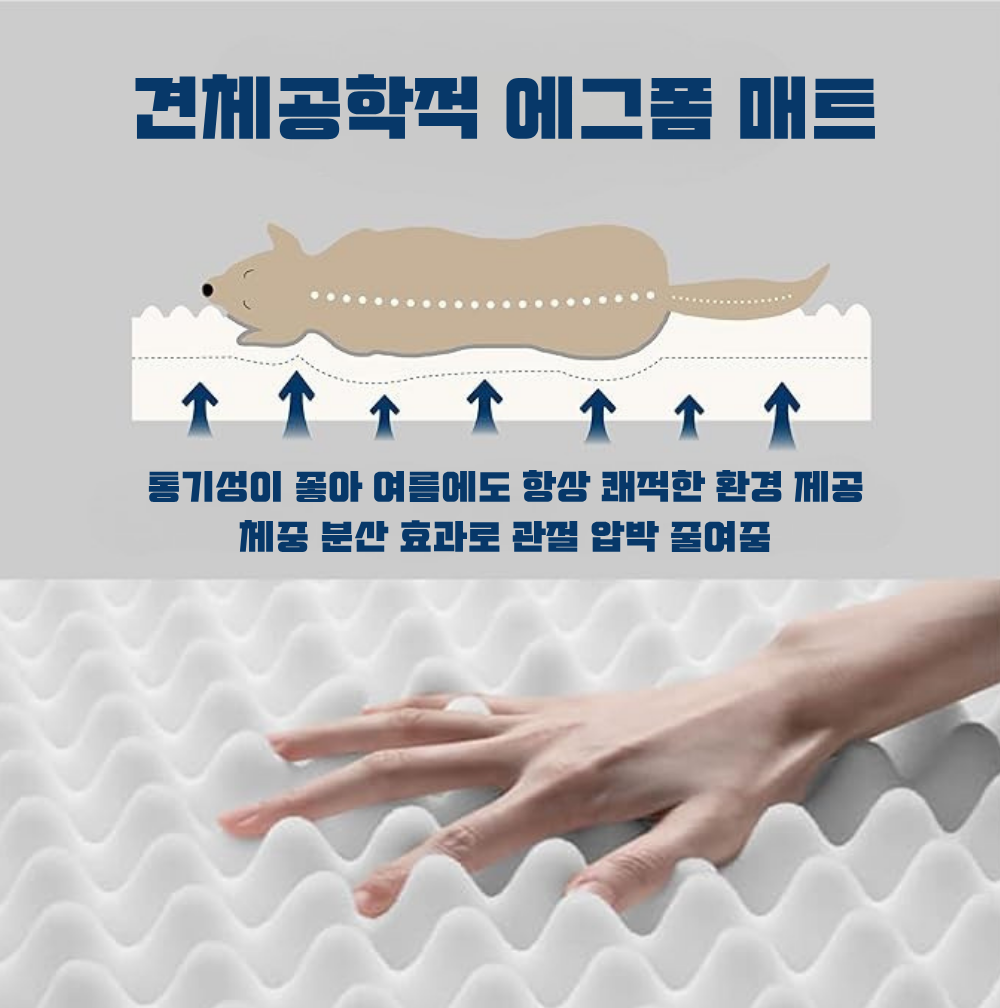 대형견 방석 사각방석 강아지 쿠션 소파 침대 매트 XL 펫앤마마