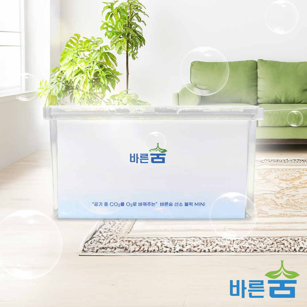 바른숨 산소블럭 미니 휴대용 차량용 산소발생기 독서실 회의실 산소발생장치 공기 정화 청정기