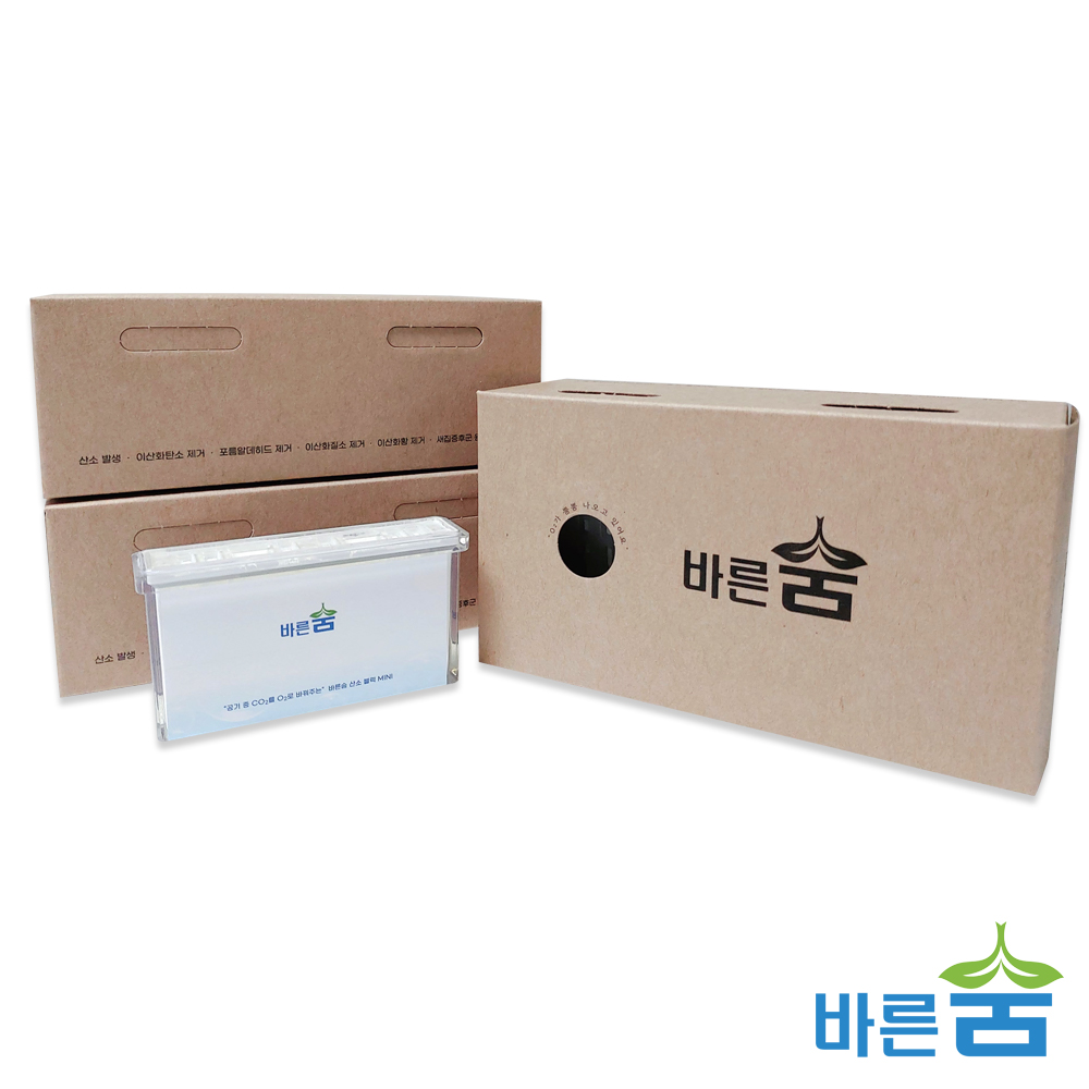 바른숨 산소블럭 미니 휴대용 차량용 산소발생기 독서실 회의실 산소발생장치 공기 정화 청정기