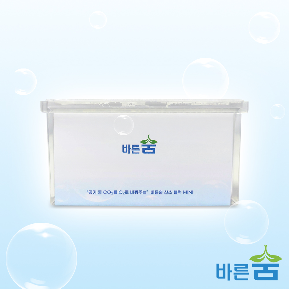바른숨 산소블럭 미니 휴대용 차량용 산소발생기 독서실 회의실 산소발생장치 공기 정화 청정기