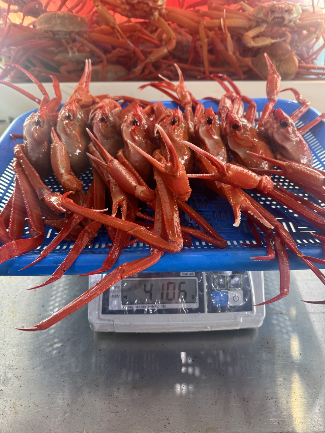 강원도 홍게 속초 동해 소짜 수율보장 자숙 찜 5kg, 1개 - 상세 이미지 2