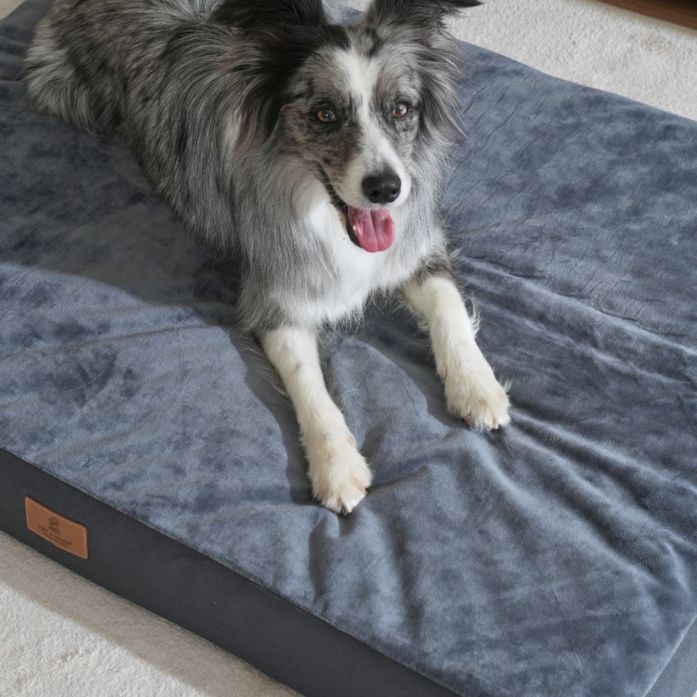 대형견 방석 사각방석 강아지 쿠션 소파 침대 매트 XL 펫앤마마