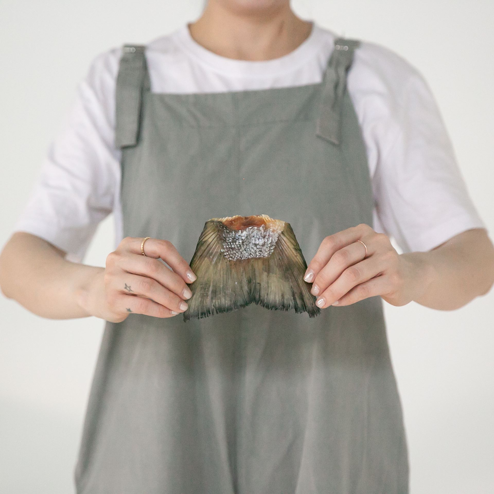 강아지 수제 간식 노령견 보양식 사료토핑 고양이간식 연어 꼬리 5P - 상세 이미지 2