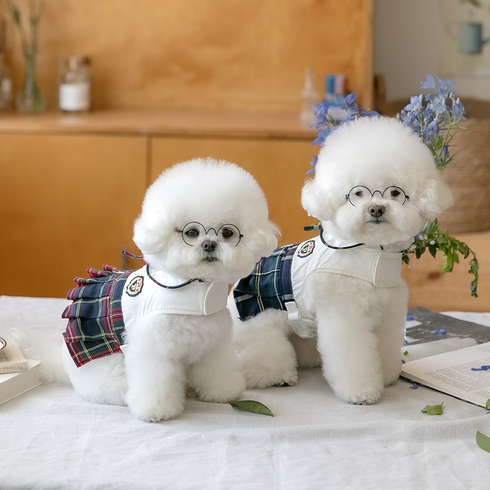 펫츠랜드 강아지 하네스옷 소형견 하네스 엘리트