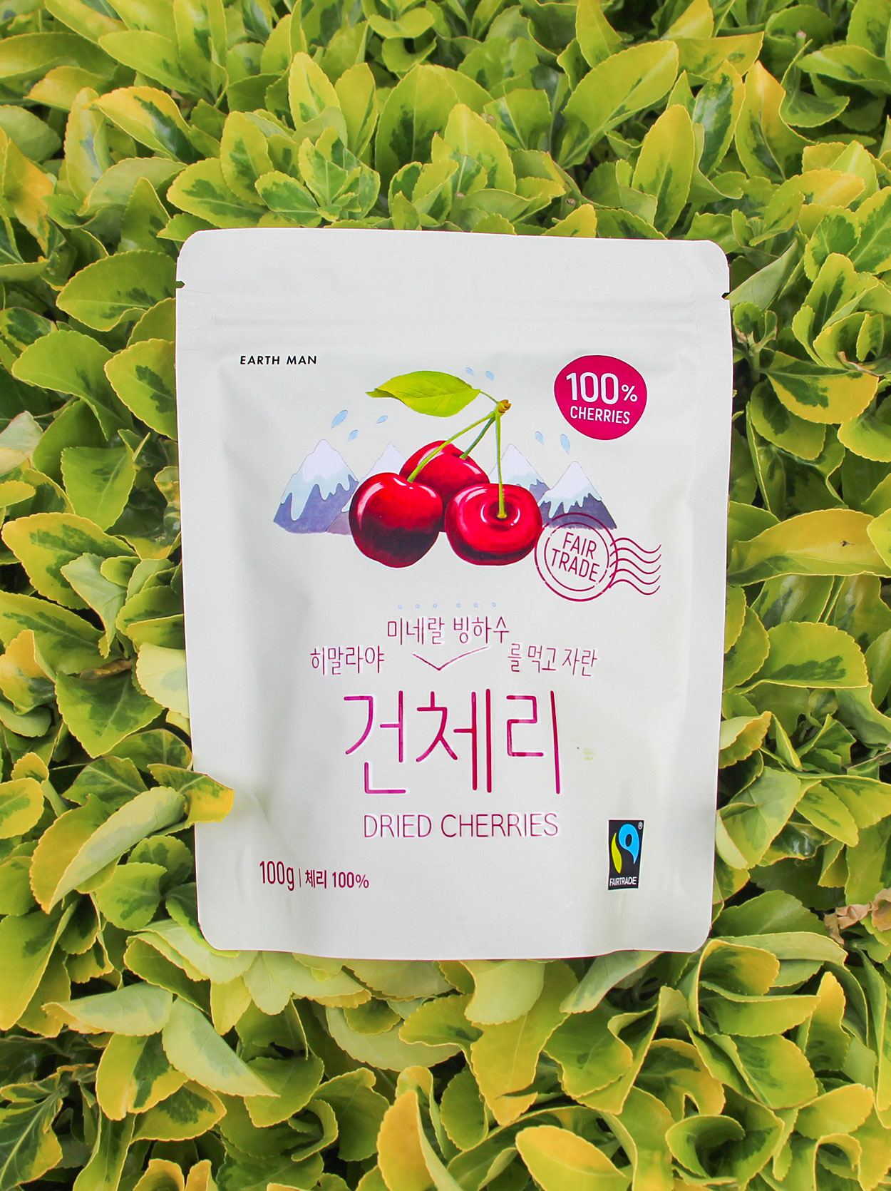 무설탕 건과일 건체리 25g 공정무역 어스맨 - 상세 이미지 5
