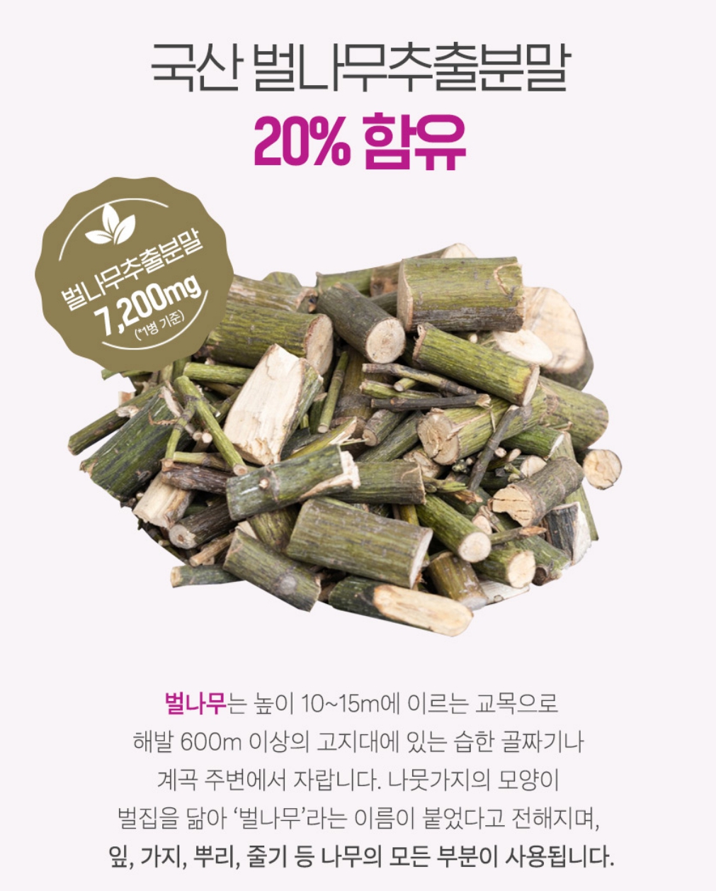 알부민 효능 고함량 알부민 골드 플러스 영양제 갱년기 타우린 - 상세 이미지 4