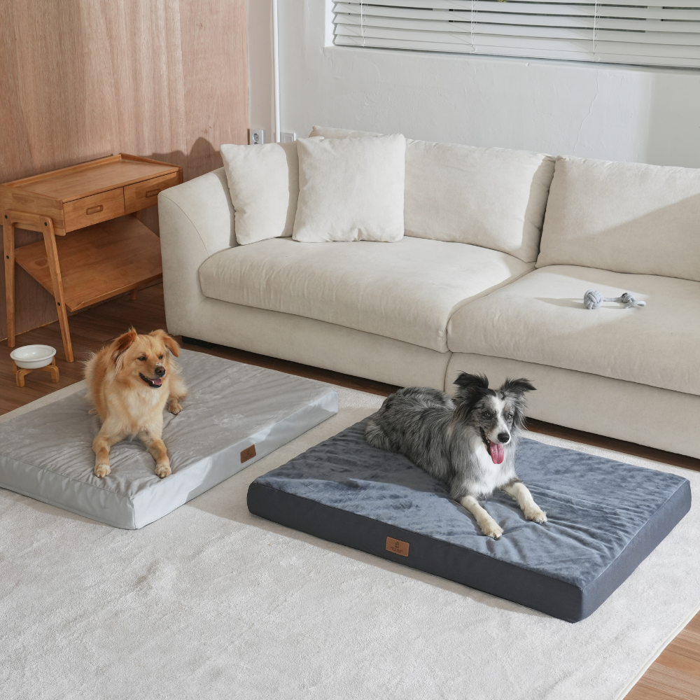 대형견 방석 사각방석 강아지 쿠션 소파 침대 매트 XL 펫앤마마