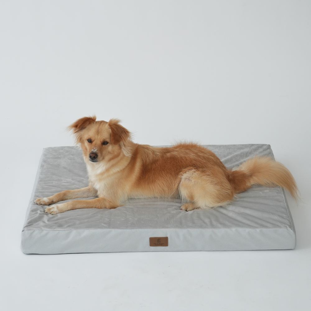 대형견 방석 사각방석 강아지 쿠션 소파 침대 매트 XL 펫앤마마