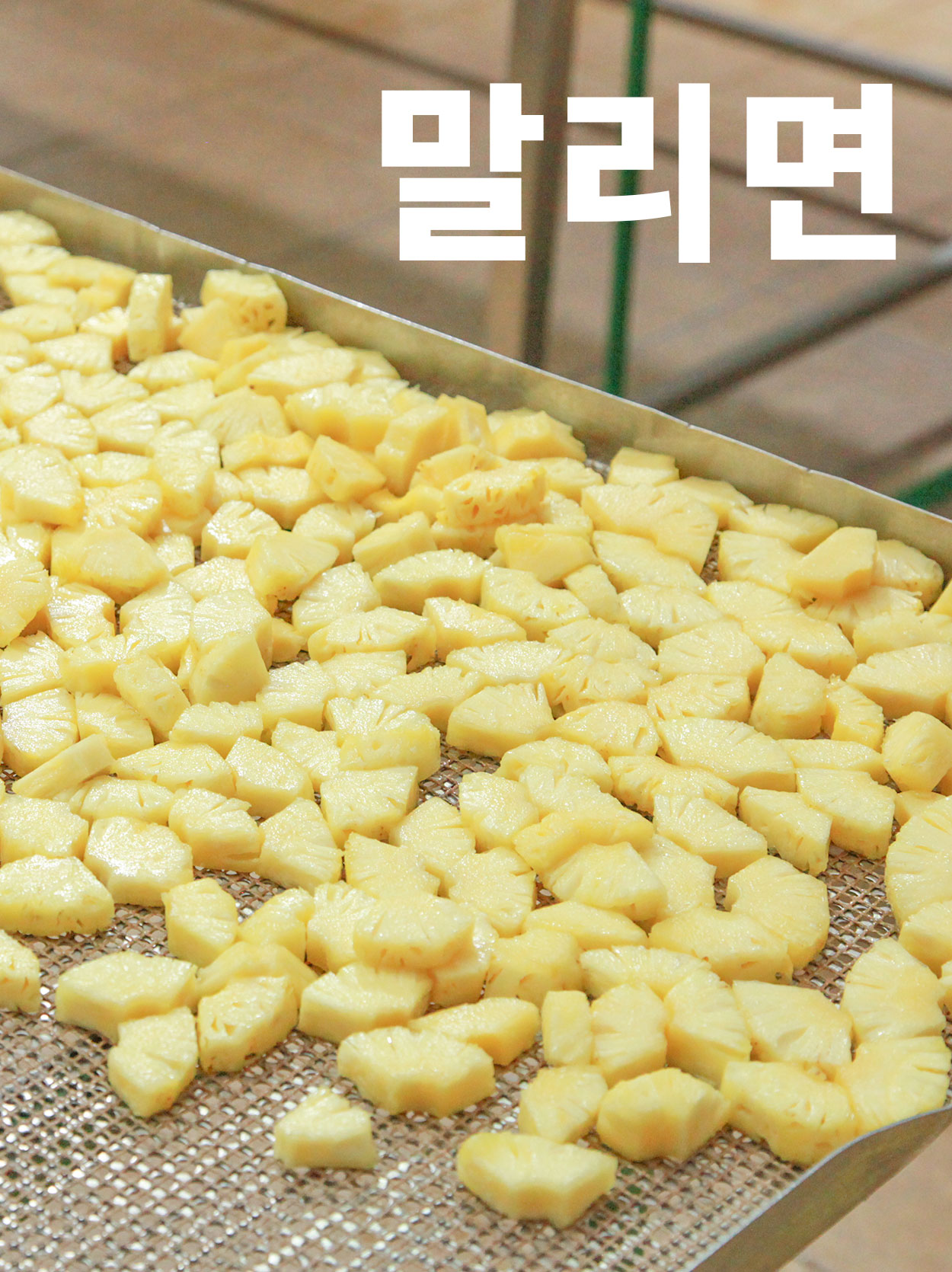 무설탕 건과일 건바나나 100g 공정무역 어스맨 - 상세 이미지 4