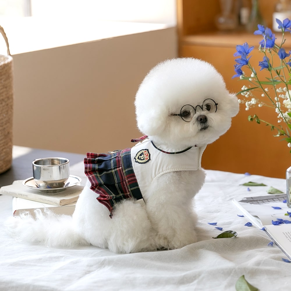 펫츠랜드 강아지 하네스옷 소형견 하네스 엘리트