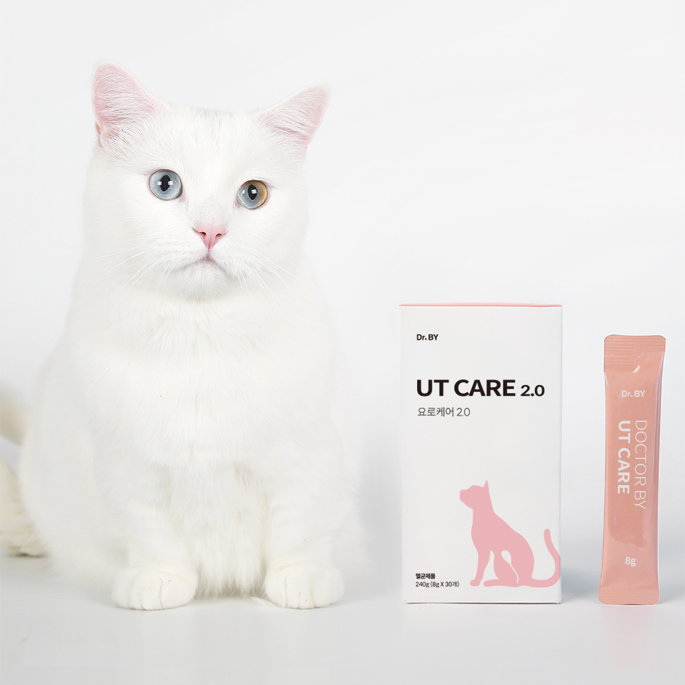 닥터바이 요로케어 고양이 신장 방광 배뇨 크랜베리 영양제 30포, 1개 - 상세 이미지 2