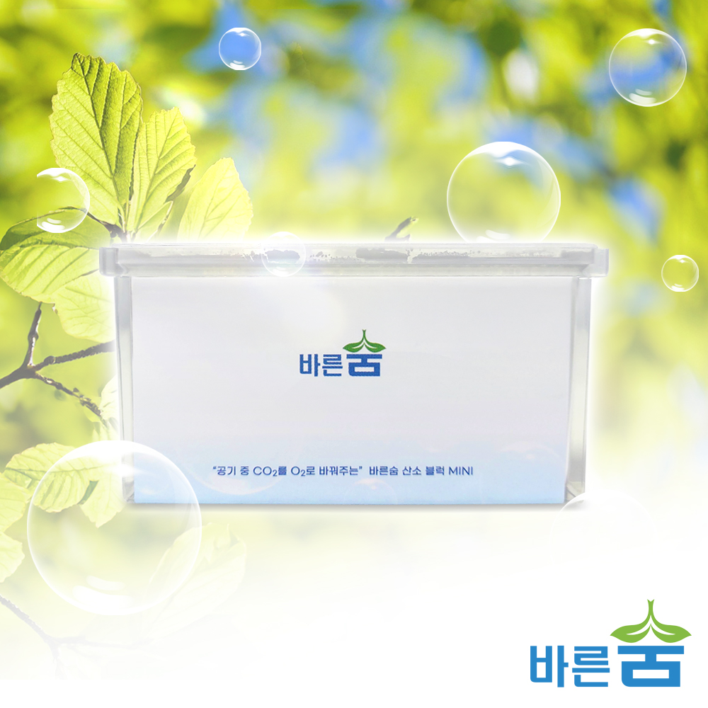 바른숨 산소블럭 미니 휴대용 차량용 산소발생기 독서실 회의실 산소발생장치 공기 정화 청정기