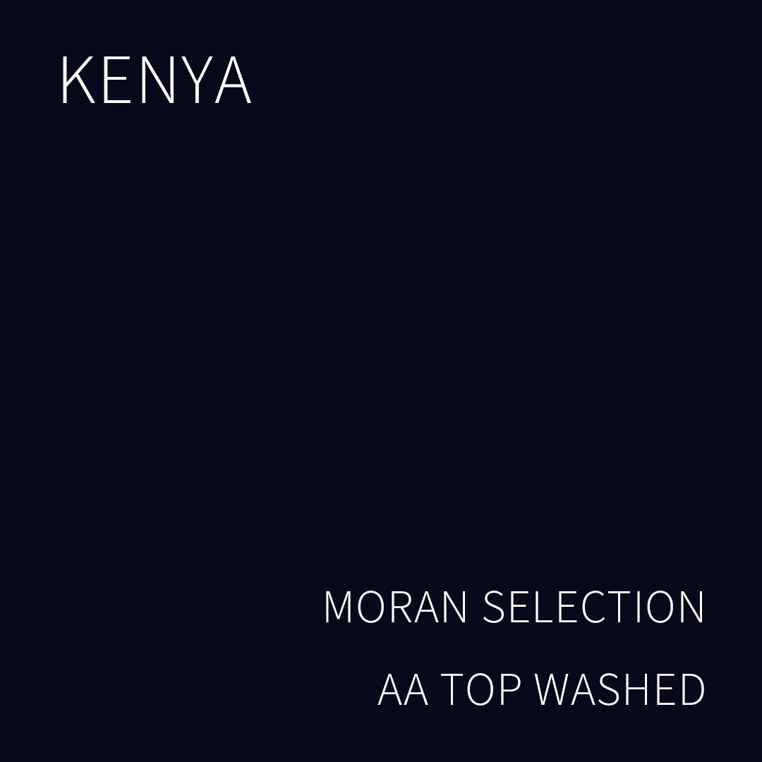 (2025 뉴크롭) 베르데 트레이드 케냐 모란 셀렉션 AA TOP 워시드 1KG (KENYA MORAN SELECTION AA TOP WASHED)