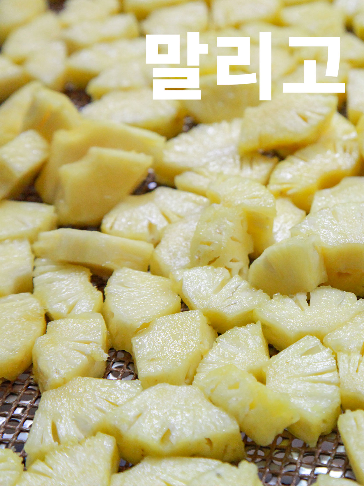 무설탕 건과일 건바나나 100g 공정무역 어스맨 - 상세 이미지 5
