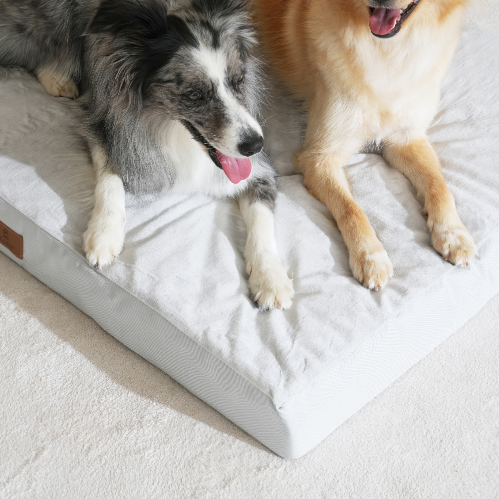 대형견 방석 사각방석 강아지 쿠션 소파 침대 매트 XL 펫앤마마
