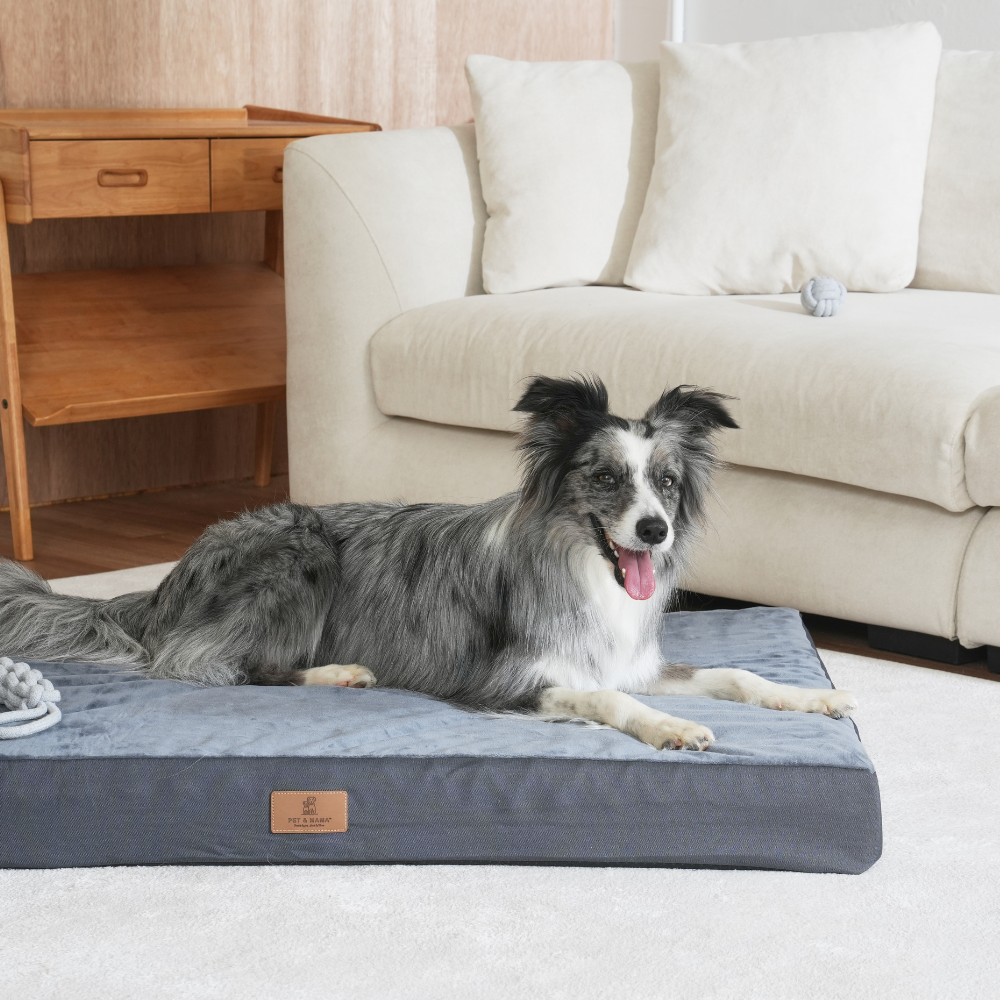 대형견 방석 사각방석 강아지 쿠션 소파 침대 매트 XL 펫앤마마