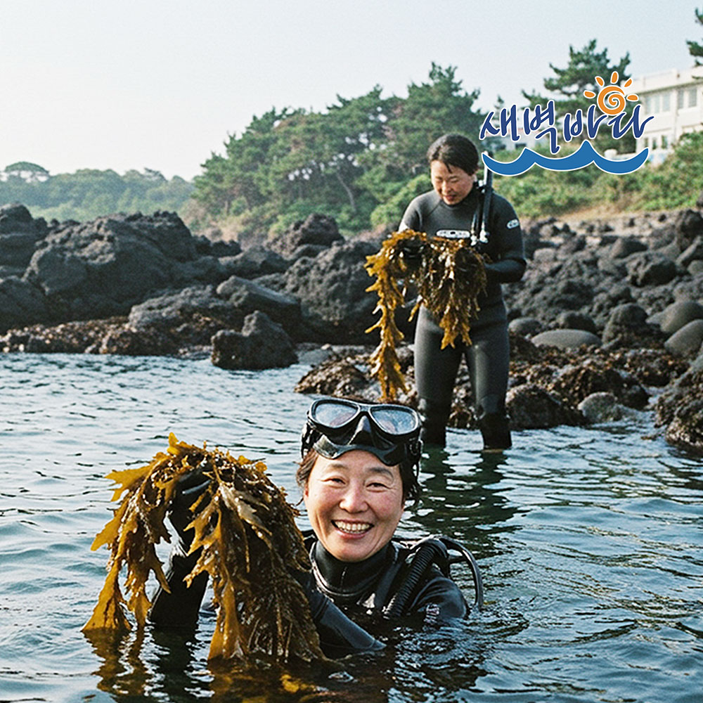 자연산 제주 돌미역 햇미역 산모미역 해녀채취 200g - 상세 이미지 3