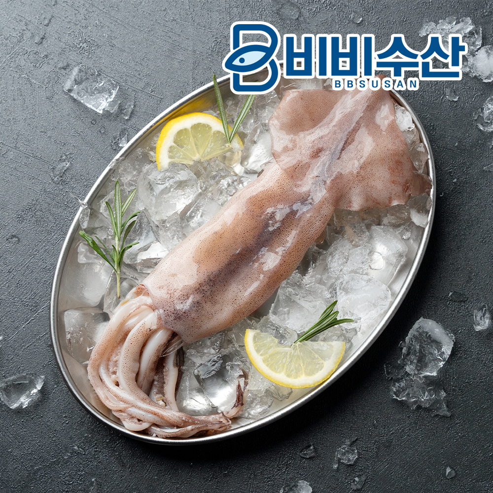 자연산 오징어 통오징어 손질법 오징어 고르는법 오징어 활용법 자연산 해산물