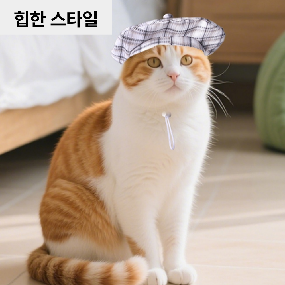 위드레오 개린이날 강아지 고양이 모자 베레모 사진촬영 소품 그레이체크, S(고양이추천) - 상세 이미지 4