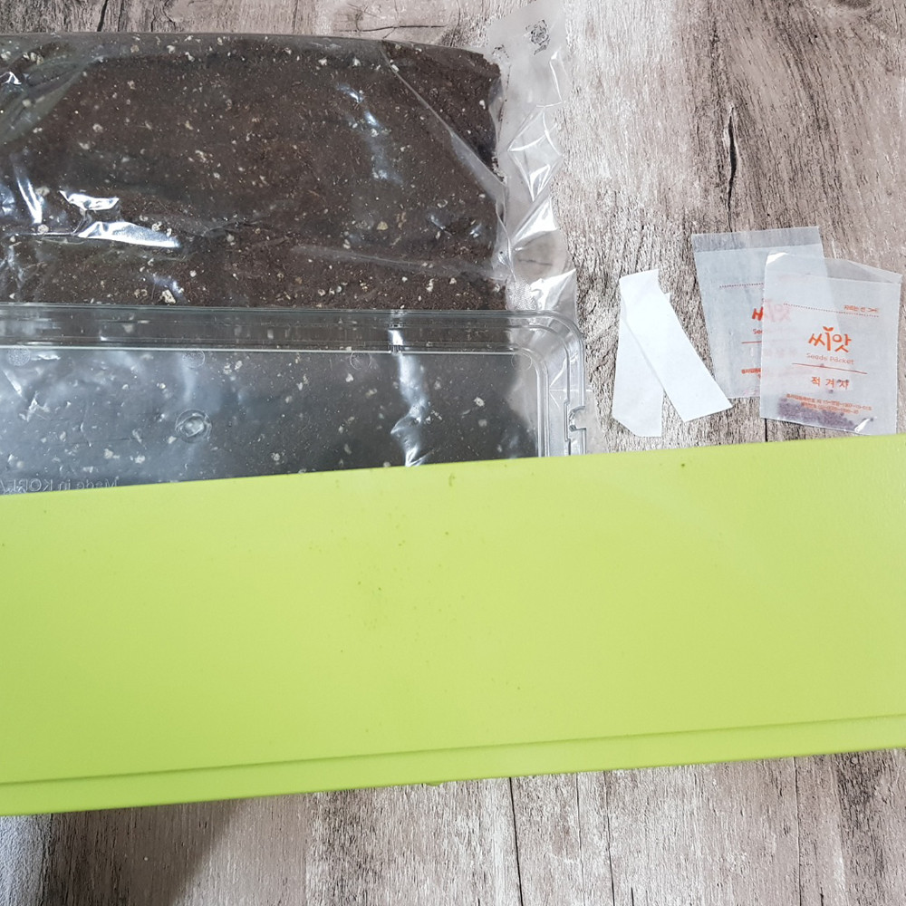 여름 상추 오이 방울토마토 적겨자 키우기 재배 키트 분무기포함 - 상세 이미지 5