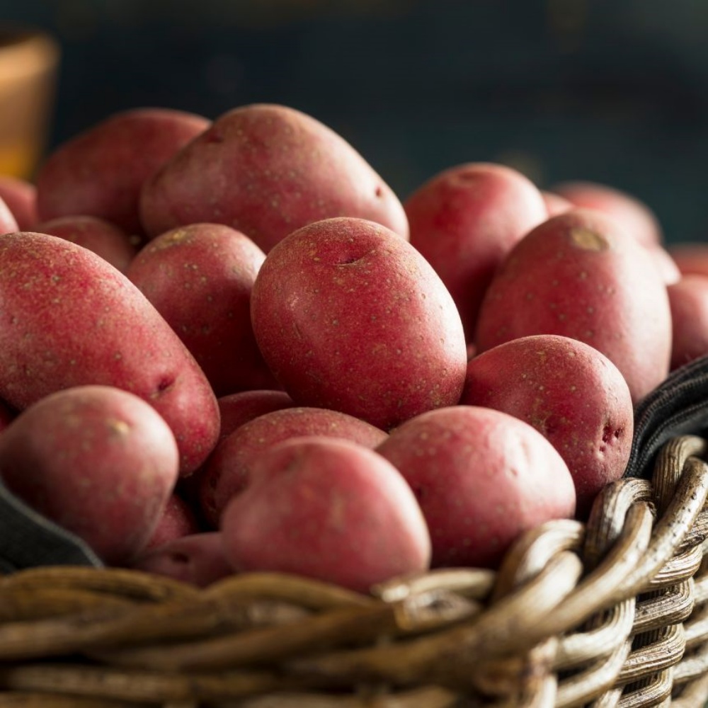 햇홍감자 제철 생으로먹는 쪄먹는 붉은 무농약 적감자 자주 하지감자 한박스 중, 3kg, 1개