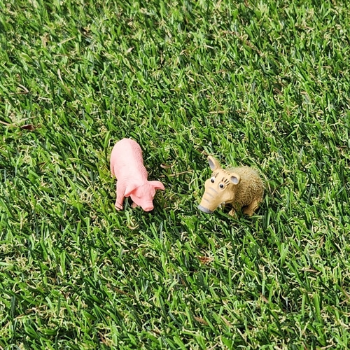 미니 멧돼지 모형 3cm 피규어 미니어쳐 스몰월드 화분 정원 매장 장식 인테리어 소품 - 상세 이미지 3
