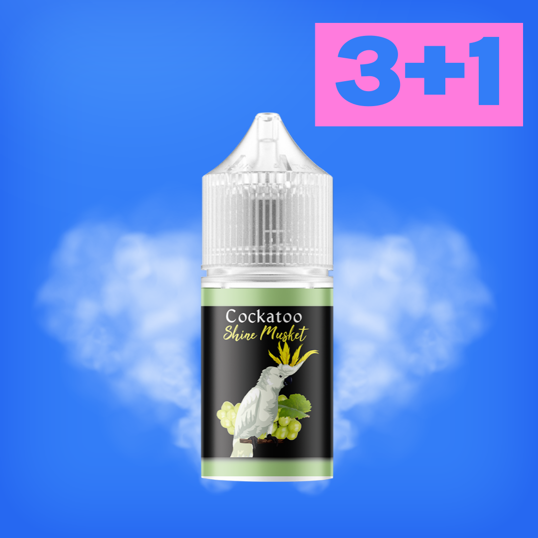 전담액상 전자담배 액상 젤로 맥스 말론 호환 샤인머스캣 30ml