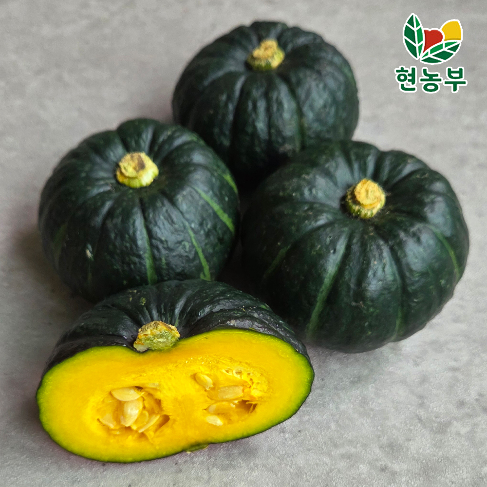 현농부 산지직송 제주 밤호박 미니밤호박 보우짱 단호박 2kg 3kg 5kg 10kg - 상세 이미지 3