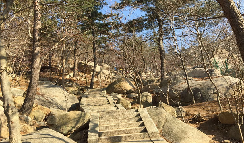 [칭다오] 청도 라오산(노산) 트래킹 데이투어 - 상세 이미지 2