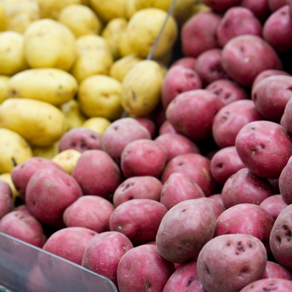 햇홍감자 제철 생으로먹는 쪄먹는 붉은 무농약 적감자 자주 하지감자 한박스 대, 10kg, 1개