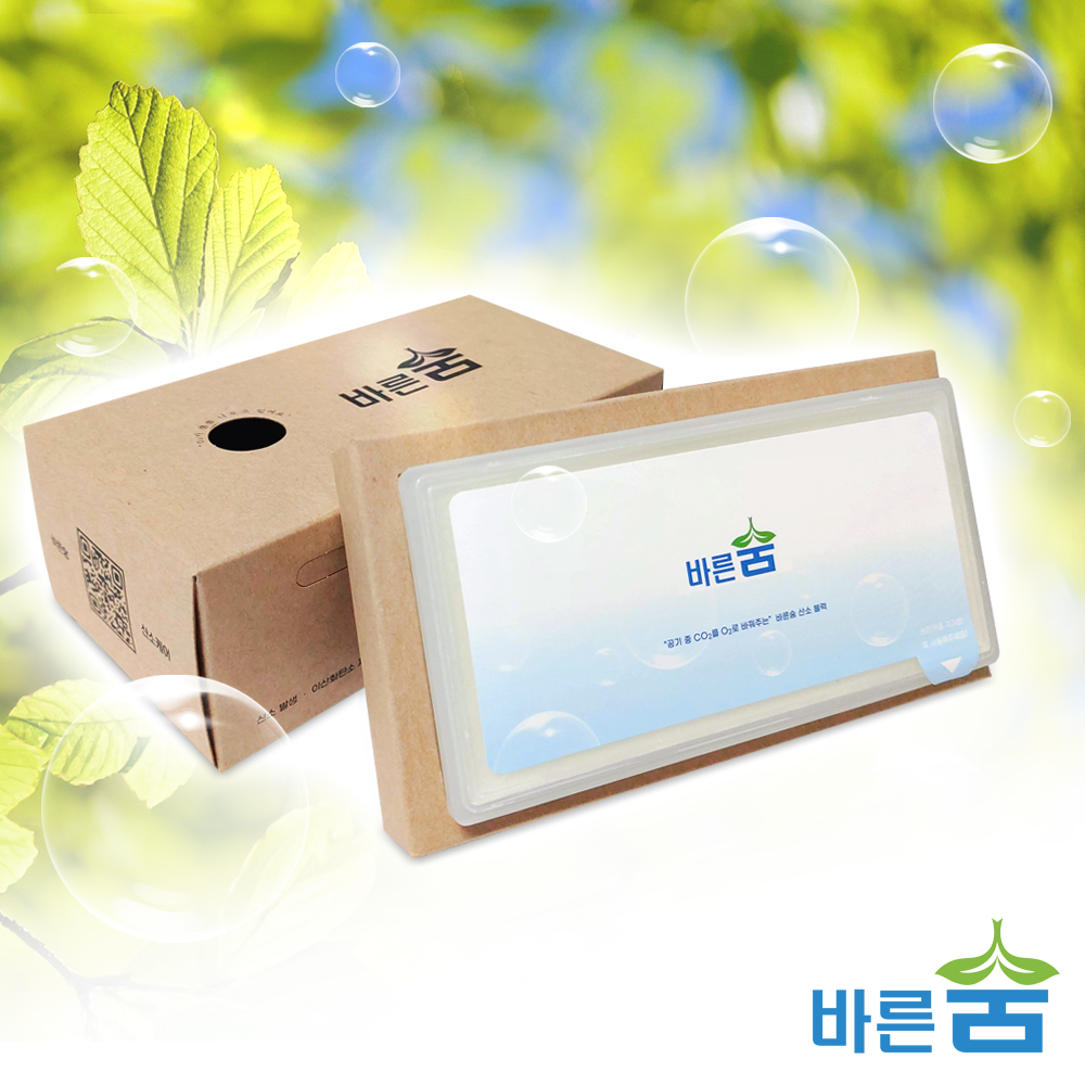 새집증후군 원인 포름알데히드 제거, 산소 발생, 이산화탄소 유해가스 제거 실내 공기정화제 - 상세 이미지 2