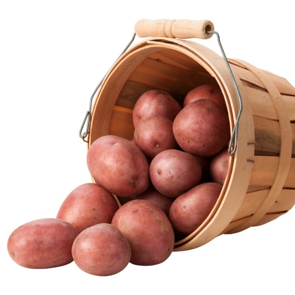 햇홍감자 제철 생으로먹는 쪄먹는 붉은 무농약 적감자 자주 하지감자 한박스 대, 3kg, 1개