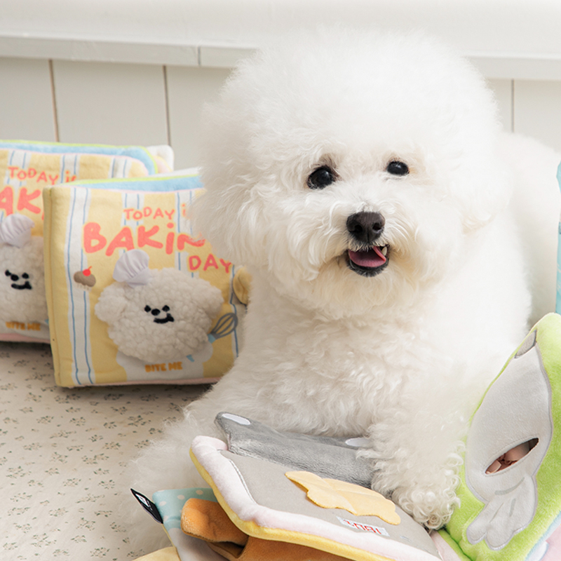 1+1 강아지 노즈워크 장난감 삑삑이 반려견 훈련 애견 놀이