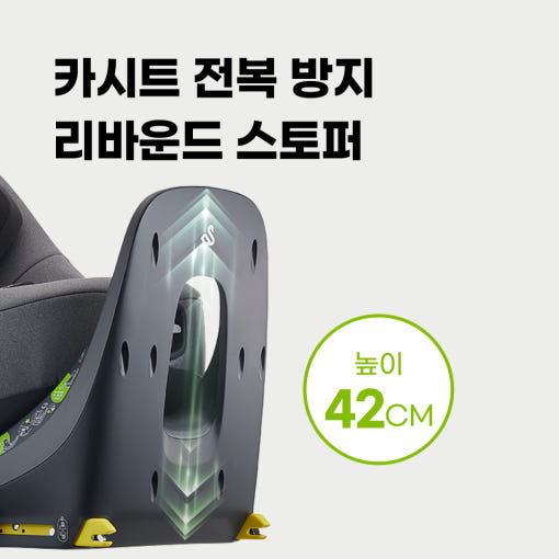 스완두 마리5 카시트