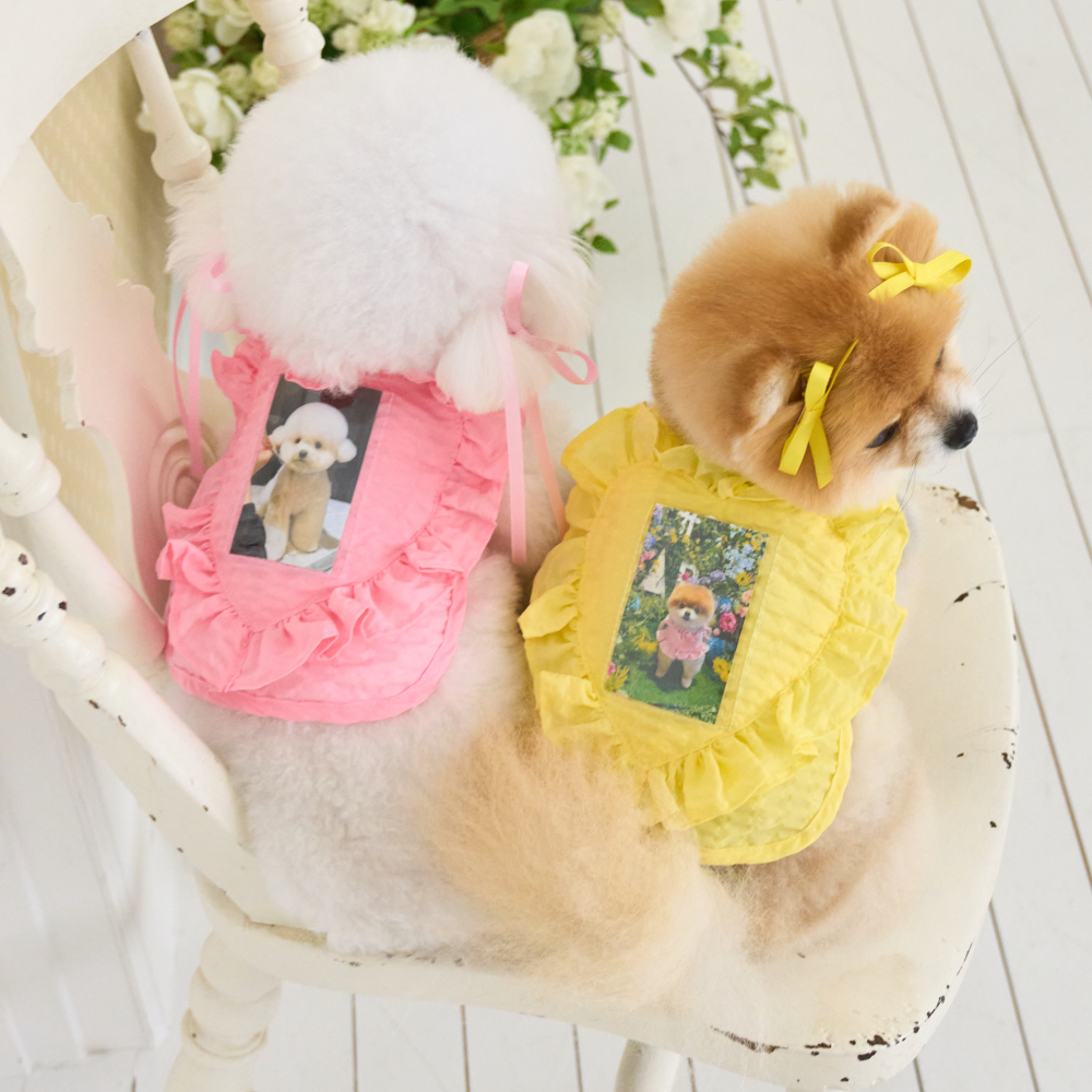 B급 요새 강아지 여름옷 강아지 쿨조끼 쿨티 아이스팩 옷 내새끼 굿즈 판초