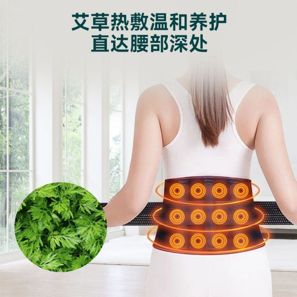 허리 난방 전기 등 마사지 찜질 다리온열기 복부 마사지기 부모님 이미지 6