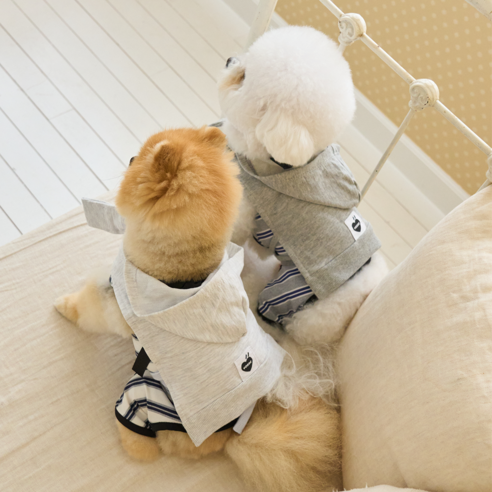 요새 강아지 여름옷 강아지 쿨조끼 쿨티 아이스팩 옷 쿨링 On 페이크 후드