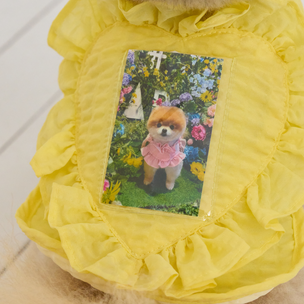 B급 요새 강아지 여름옷 강아지 쿨조끼 쿨티 아이스팩 옷 내새끼 굿즈 판초