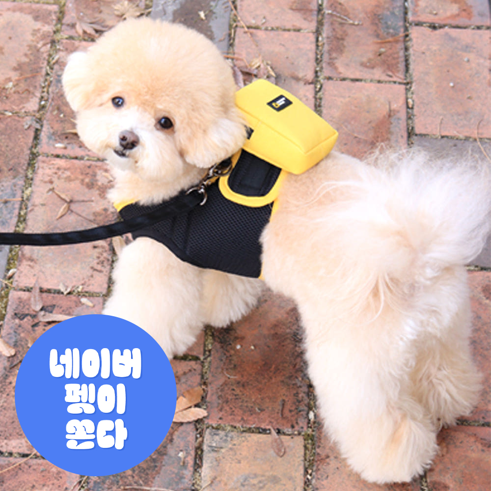 초코펫 강아지 하네스 가슴줄 스쿨백 하네스 리드줄 SET