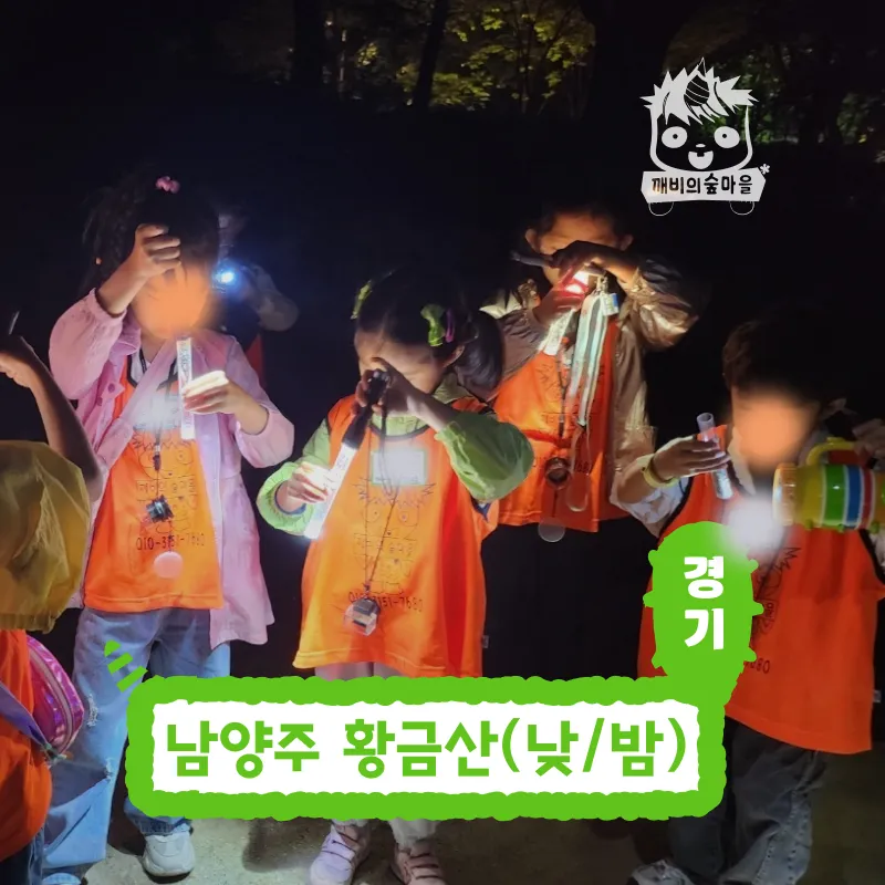 [깨비의숲마을][남양주 황금산] 경기 남양주 숲체험 어린이 가을 유아 초등 자연 곤충 주말 체험 학습
