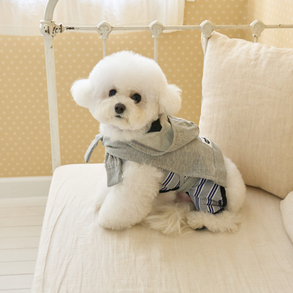 요새 강아지 여름옷 강아지 쿨조끼 쿨티 아이스팩 옷 쿨링 On 페이크 후드