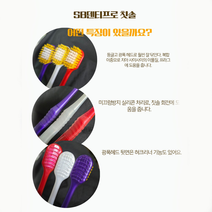 SB덴티프로_12p-006.jpg (860×860)