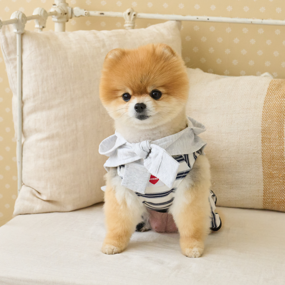 요새 강아지 여름옷 강아지 쿨조끼 쿨티 아이스팩 옷 쿨링 On 페이크 후드