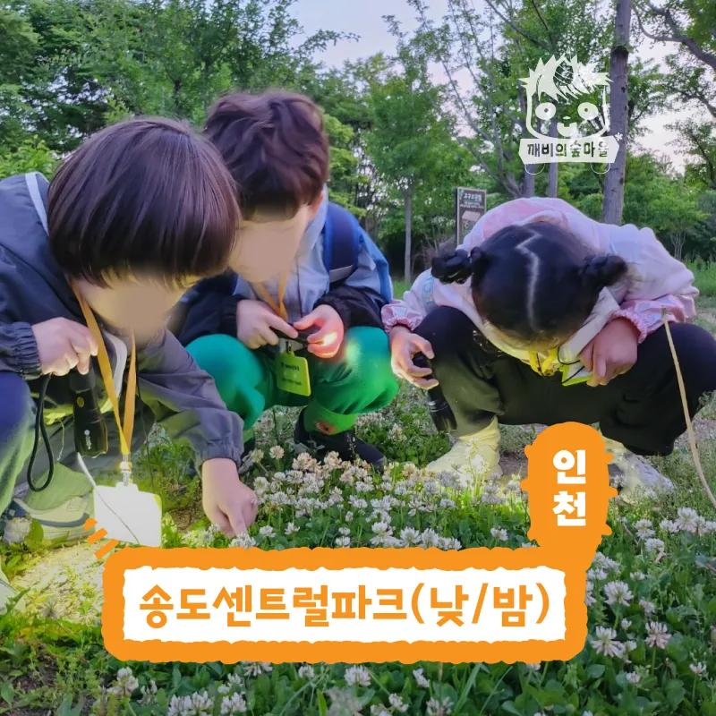 [깨비의숲마을][인천 송도센트럴파크] 인천 송도 숲체험 어린이 가을 유아 초등 자연 곤충 주말 체험 학습 - 상품 이미지