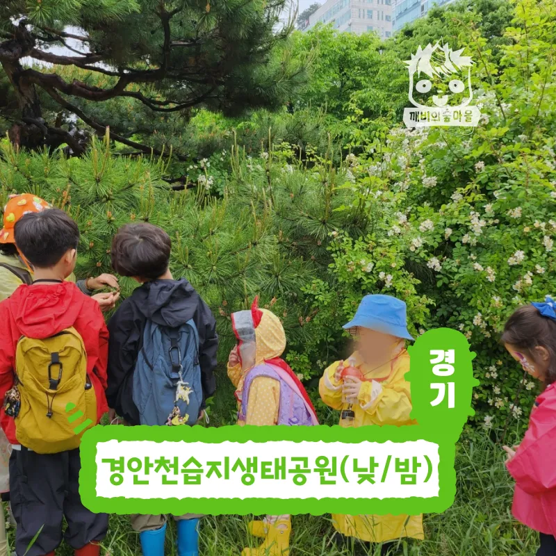 [깨비의숲마을][경안천습지생태공원] 경기 광주 숲체험 어린이 가을 유아 초등 자연 곤충 주말 체험 학습