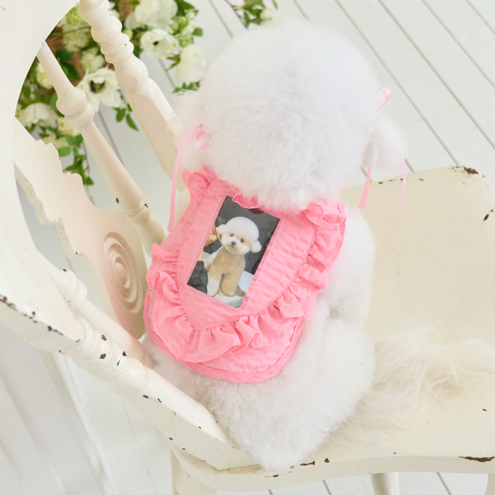 B급 요새 강아지 여름옷 강아지 쿨조끼 쿨티 아이스팩 옷 내새끼 굿즈 판초